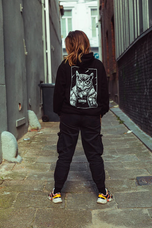 Aviary knight Hoodie