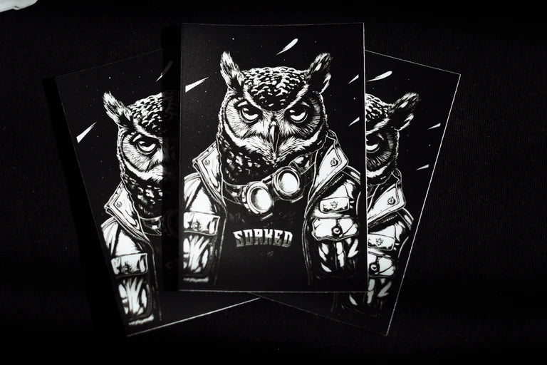 The Aviary Knight matte sticker