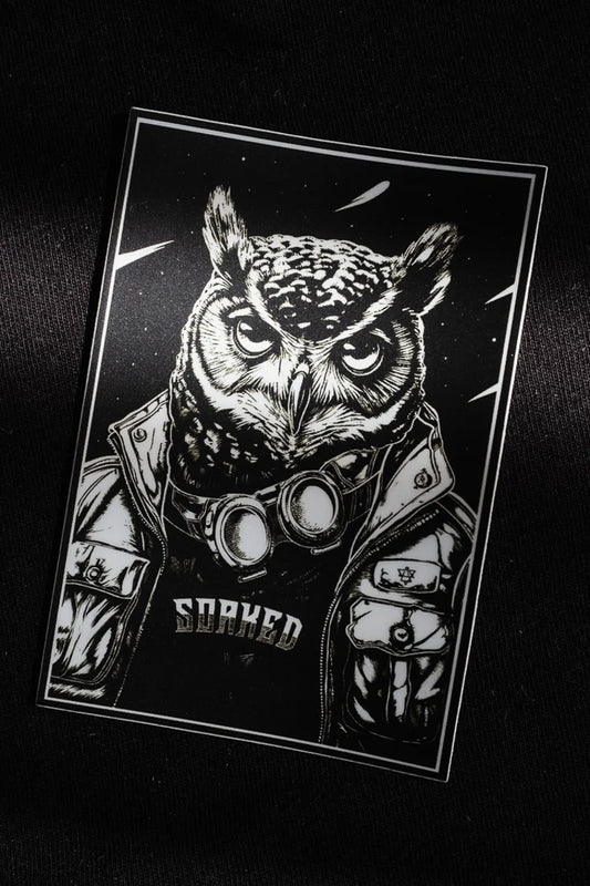 The Aviary Knight matte sticker